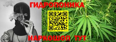ешки Обнинск